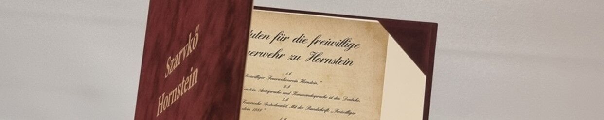 Geschichte der Feuerwehr Hornstein